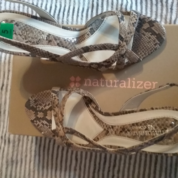 Shoes - Picture 2 of 3